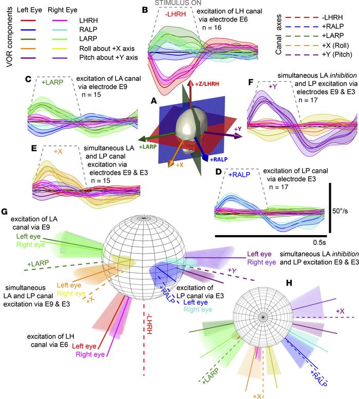 Coordinated multi-electrode input encodes 3D head rotation axis.
Simulta...
