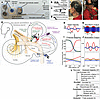 Overview of the Labyrinth Devices MVI and study.