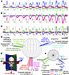 MVI stimulation evokes 3D VOR responses align with targeted semicircular ca