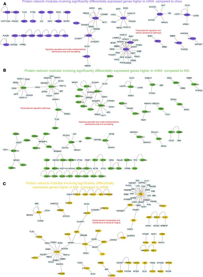 Pathway and protein network module analyses to identify key functional s...