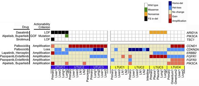 Marked homogeneity of druggable genomic alterations is present in UC pat...