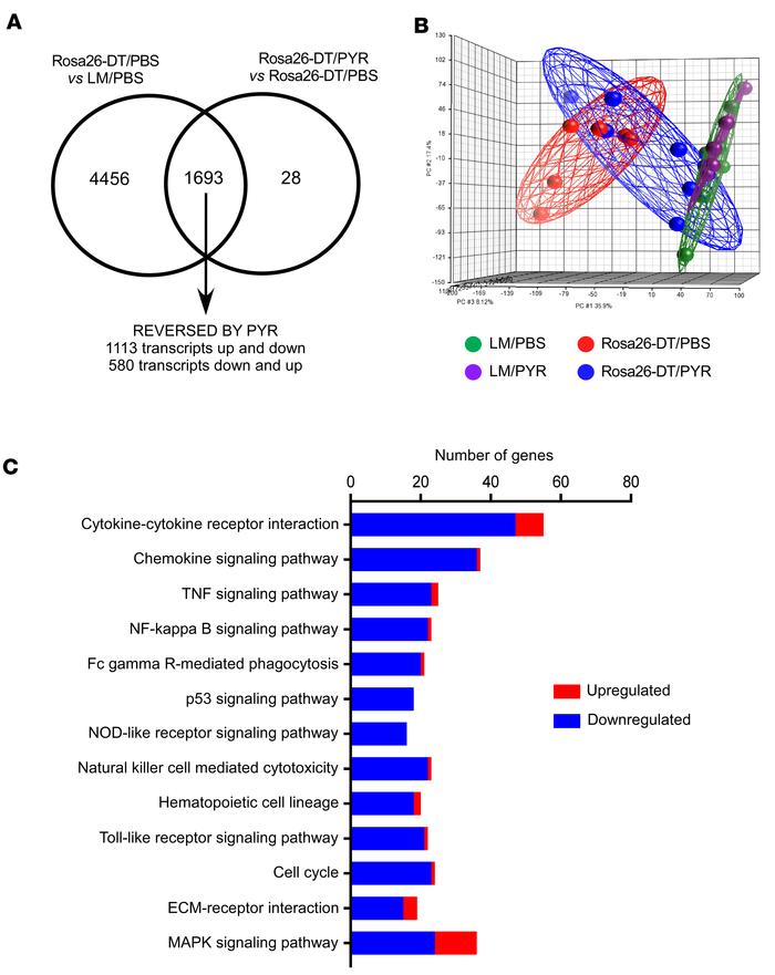 Transcriptional profiling of hearts after diphtheria toxin–mediated inju...