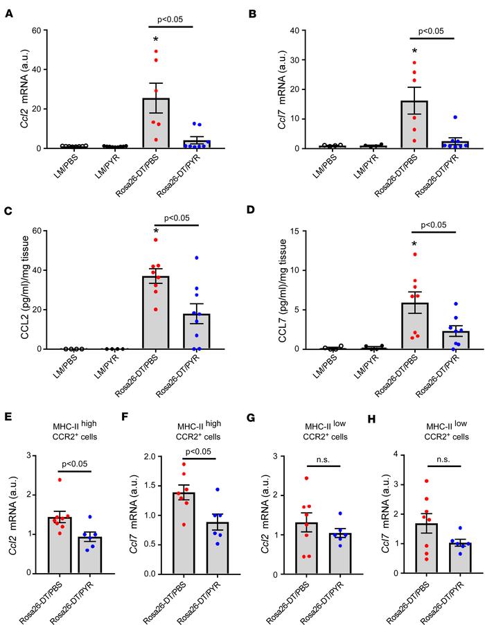 PYR treatment inhibits the expression of CCL2 and CCL7 chemokines in the...