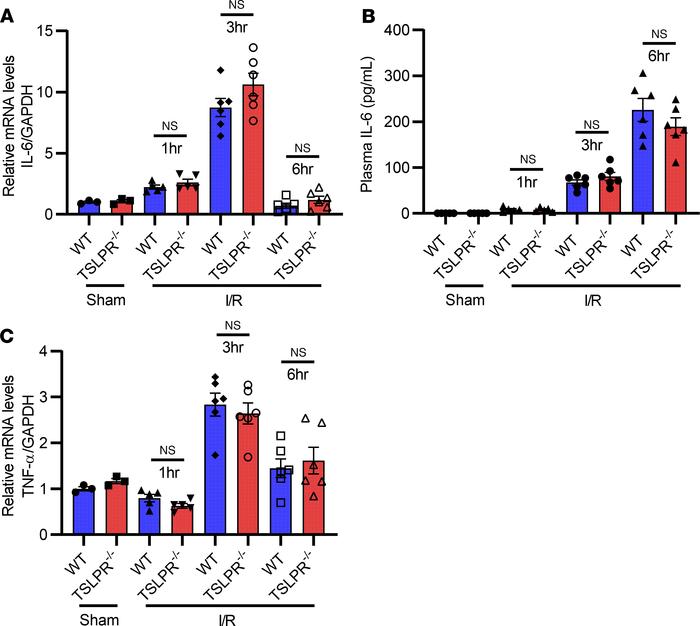 Hepatoprotective effects of TSLP in liver I/R injury are not mediated by...