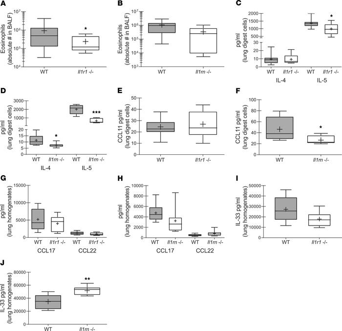The absence of IL-1R1 and IL-1RA results in varied type 2 responses duri...
