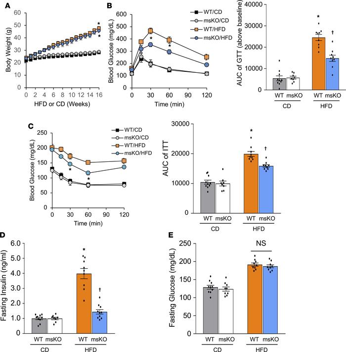 Loss of MondoA improves HFD-induced glucose tolerance and insulin resist...