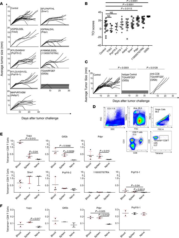 Tumor rejection and CD8+ tetramers elicited by immunization with neoepit...