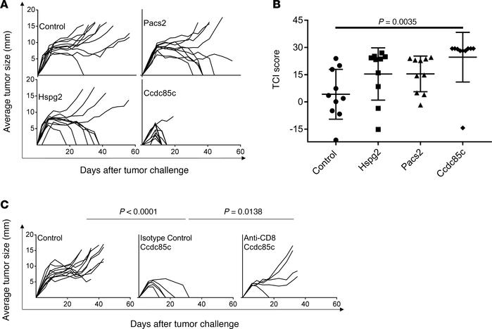 Tumor rejection elicited by immunization with low-abundance TRMNs.
(A) N...