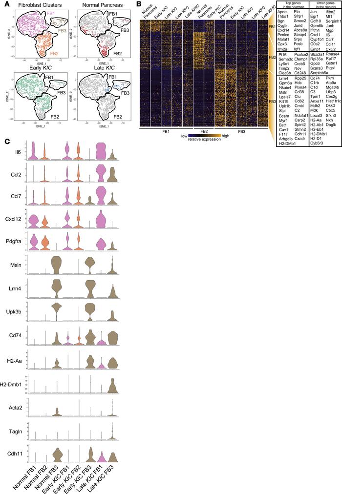 Analysis of fibroblasts during PDA progression reveals multiple molecula...