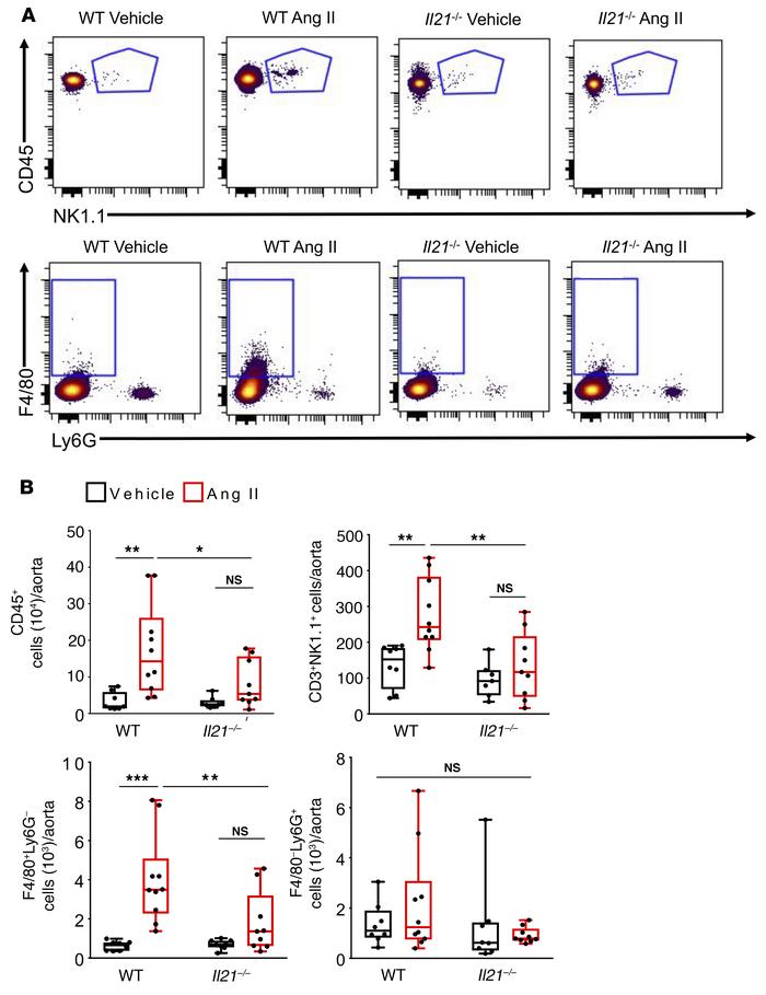 IL-21 deficiency blunts early vascular infiltration of NKT cells and mac...