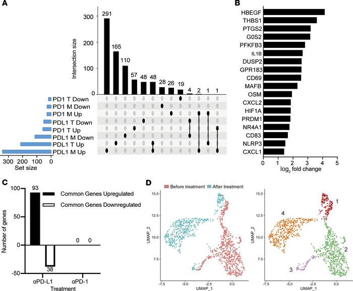 PD-L1 blockade leads to distinct transcriptomic changes in circulating m...