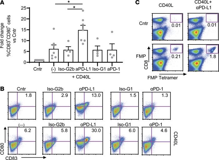 PD-L1 blockade synergizes with CD40L to improve antigen-specific T cell ...