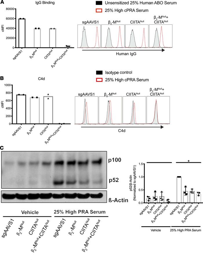 β2-Microglobulinnull+CIITAnull ECs evade alloantibody-mediated binding, ...
