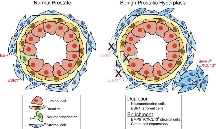 graphical abstract