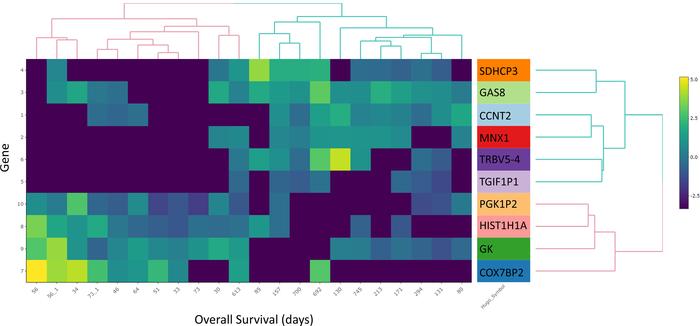 Unsupervised hierarchical cluster of top 10 genes differentiating early ...