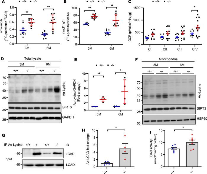 
Bscl2–/– mice display excessive cardiac fatty acid oxidation and hypera...