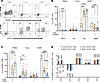 CD8+ tissue-resident memory T cells are a major population of CD8+ T cells