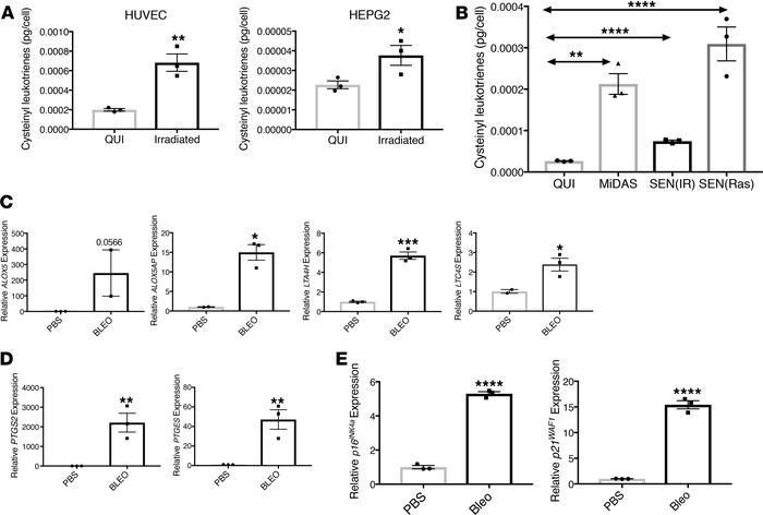 Leukotriene secretion is a common feature of senescent cells.
(A) HUVEC ...
