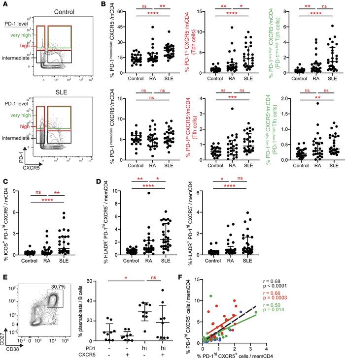 Expanded PD-1hiCXCR5– Tph cells in the blood of SLE patients.
(A) Exampl...