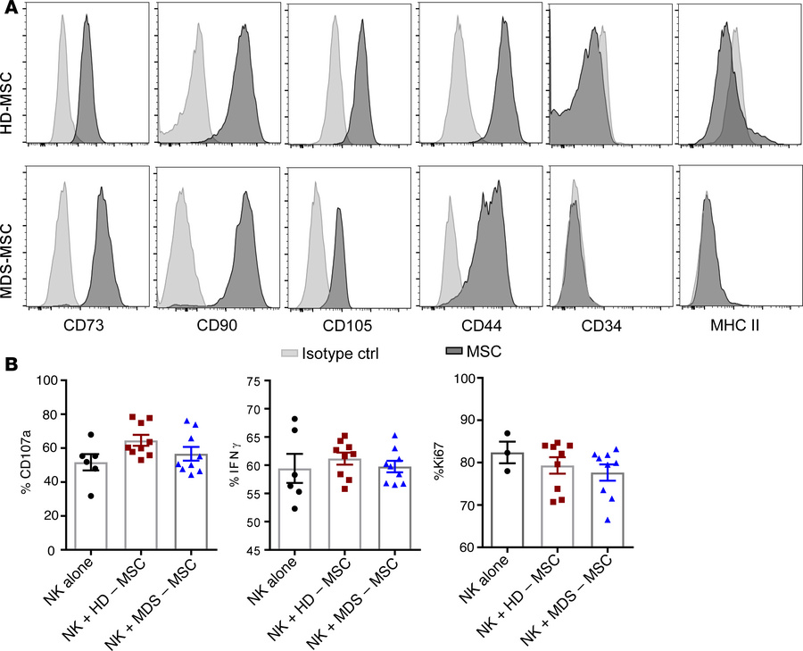Healthy donor MSCs and MDS-MSCs are phenotypically similar and do not di...
