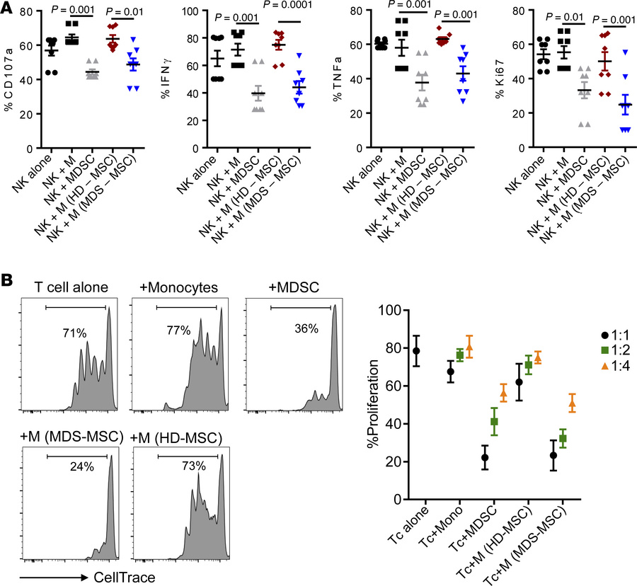 MDS-MSCs induce monocytes to suppress NK cell function and proliferation...