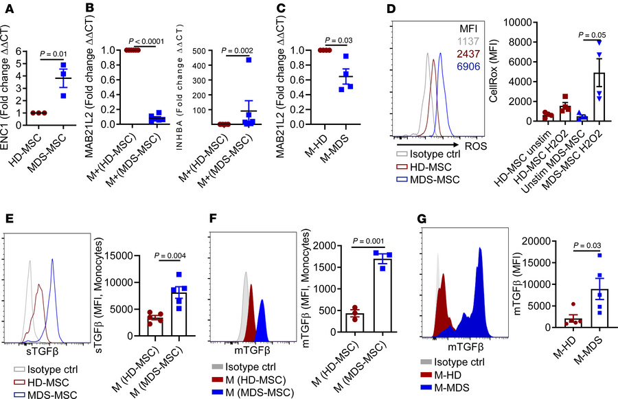 Quantitative PCR validates differences with ENC1 expression increases in...