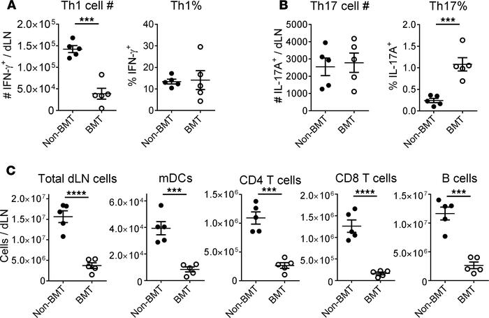 Th cell differentiation and cellularity in dLNs are correlated with DC m...