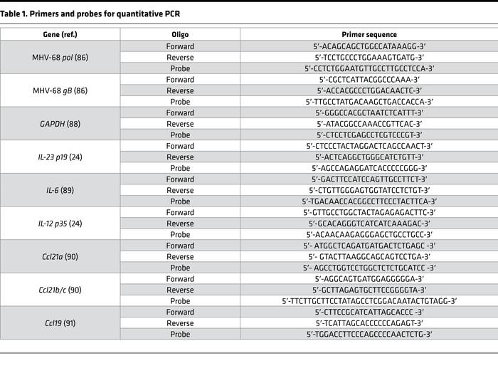 Primers and probes for quantitative PCR