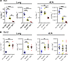 Migration of cDCs is essential for Th1 responses but not for Th17 responses