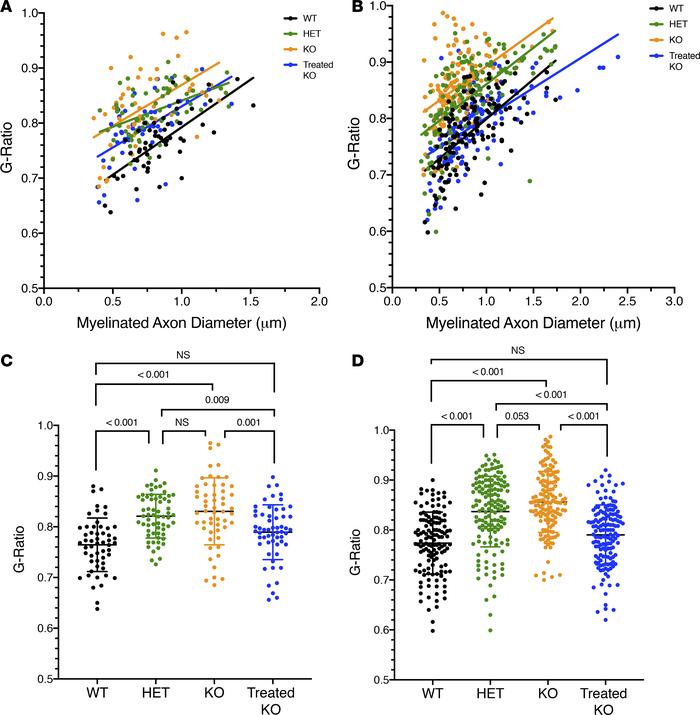 Quantification of myelin sheath thickness of P15 genotypes demonstrated ...