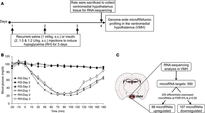 RH leads to differential microRNA expression in the VMH.
(A) Male Spragu...