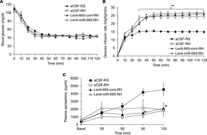 Lentiviral-mediated microRNA-665 downregulation in the VMH does not norm...