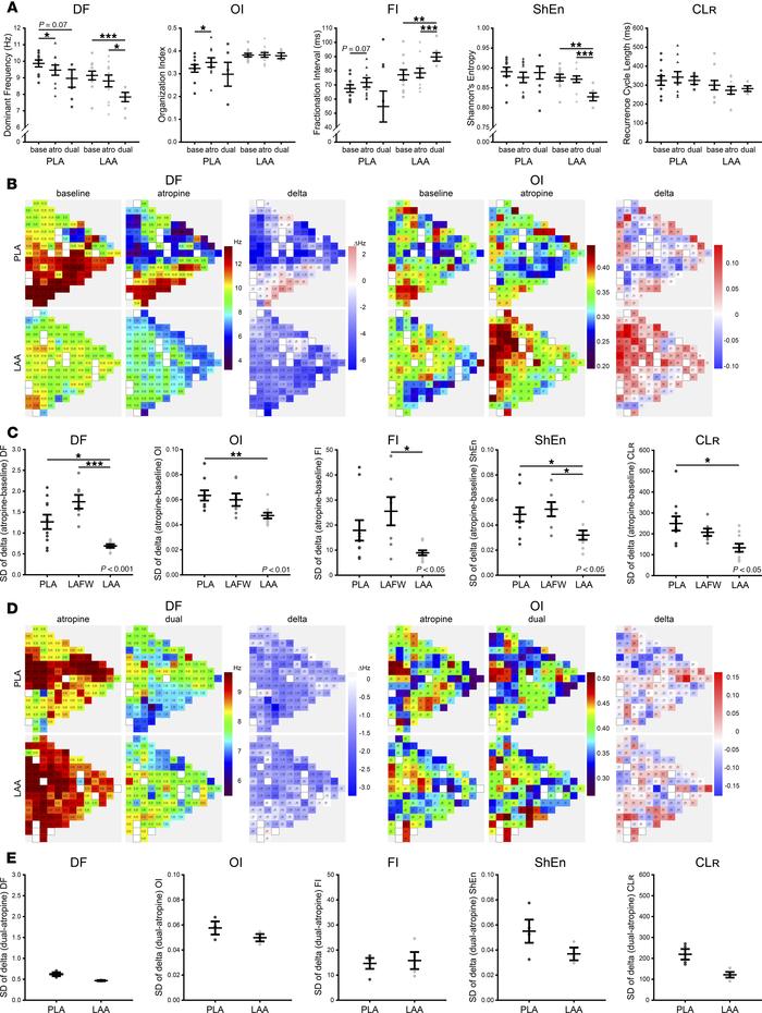 Response to atropine is more homogeneous in the left atrial appendage (L...