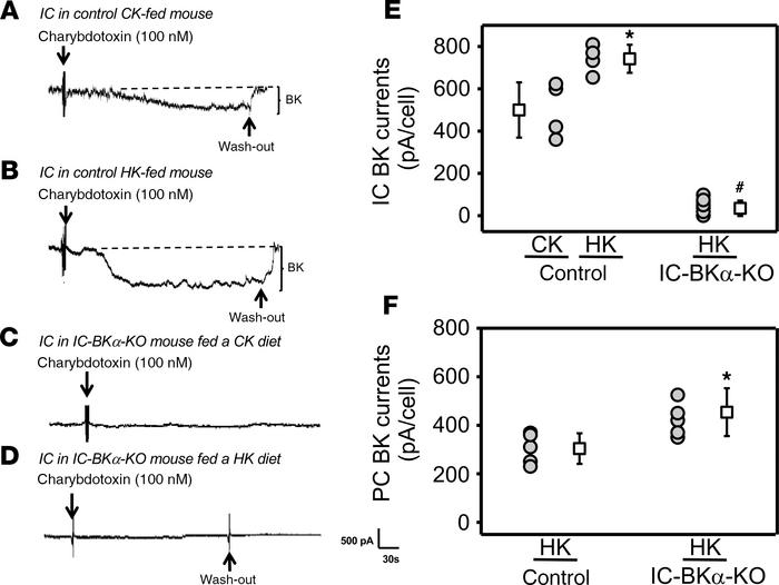 Perforated whole cell patch recordings of charybdotoxin-sensitive (ChTx-...