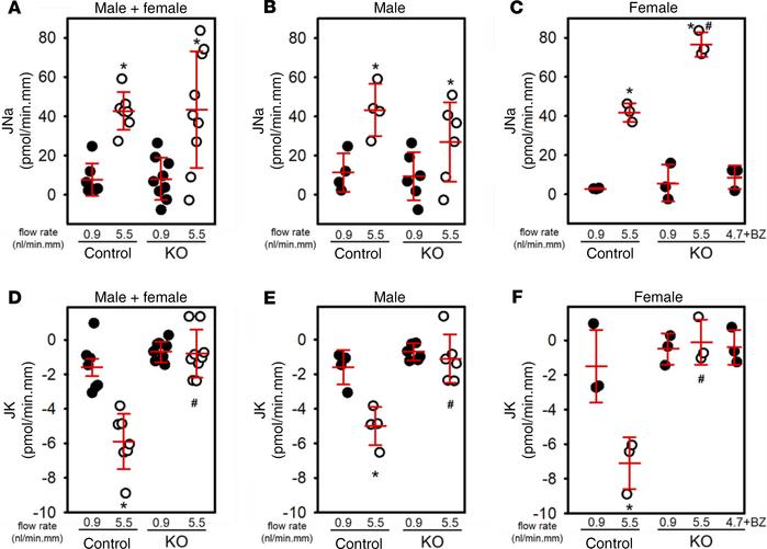 Basal and flow-induced net Na absorption (JNa) and K secretion (JK) in m...