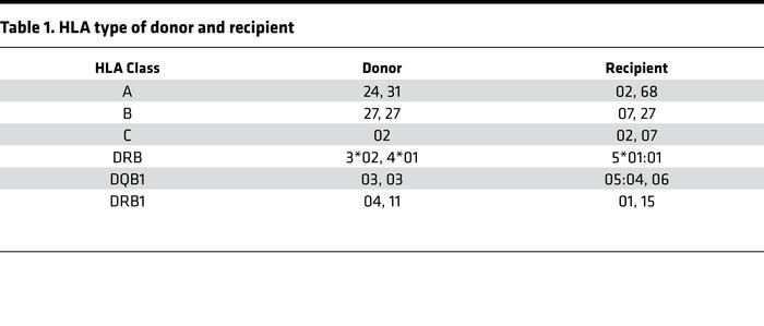 HLA type of donor and recipient