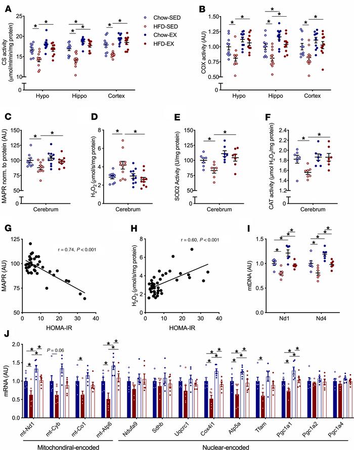 Aerobic exercise corrects impairments in mitochondrial function accompan...