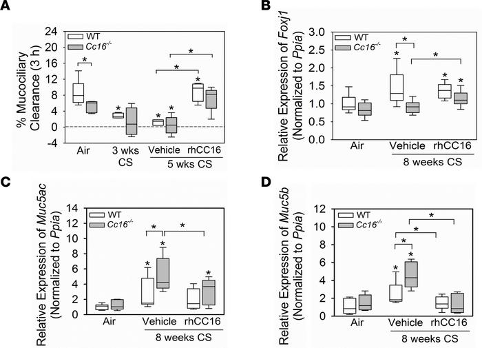 Treatment with rhCC16 limits the progression of CB-like disease in WT an...