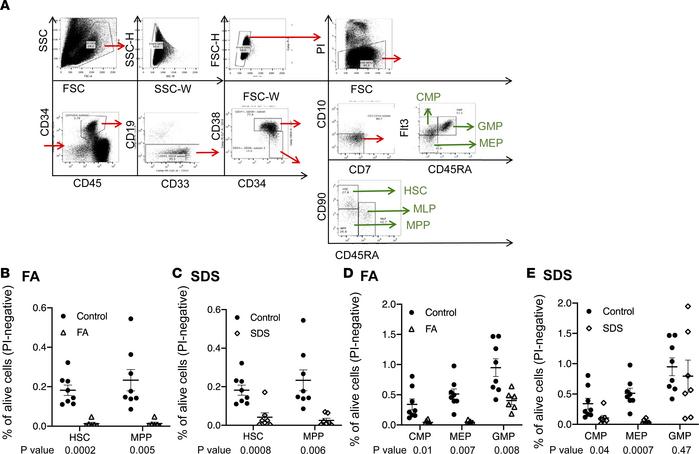 Deep immunophenotyping revealed striking loss of most, but not all, HSCs...