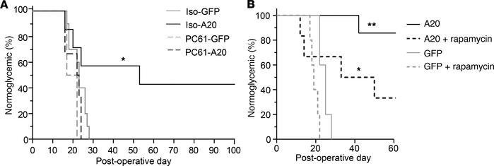 Administration of anti-CD25 ablates, and rapamycin enhances, the protect...
