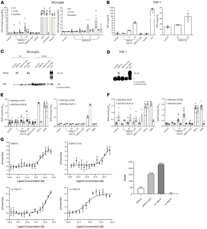 HERV-K(HML-2)–derived oligoribonucleotides activate microglia and macrop...