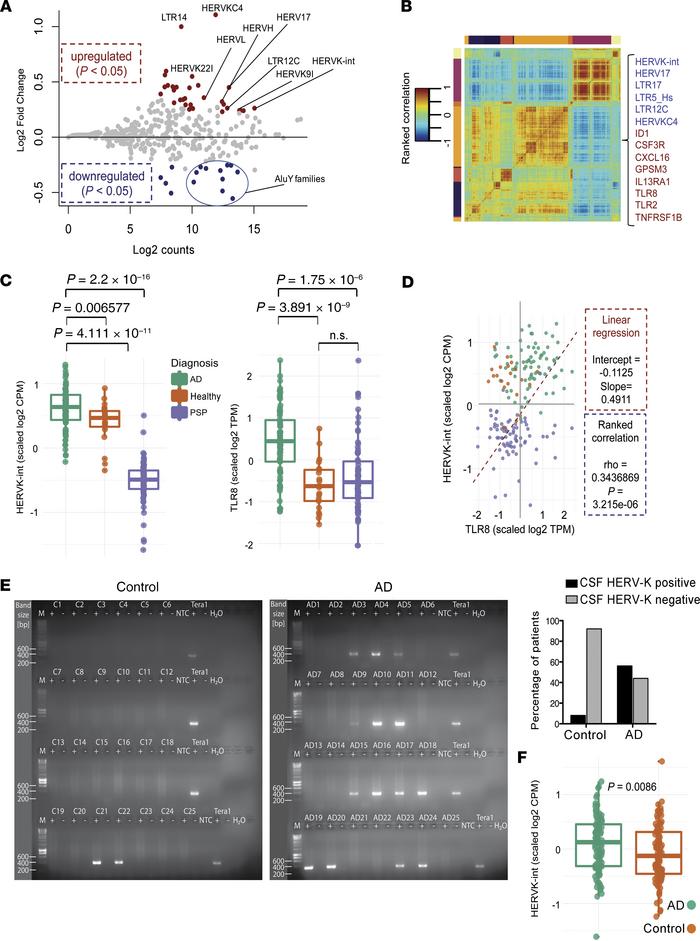 Correlated upregulated HERV-K and TLR8 expression in AD.
(A) Differentia...