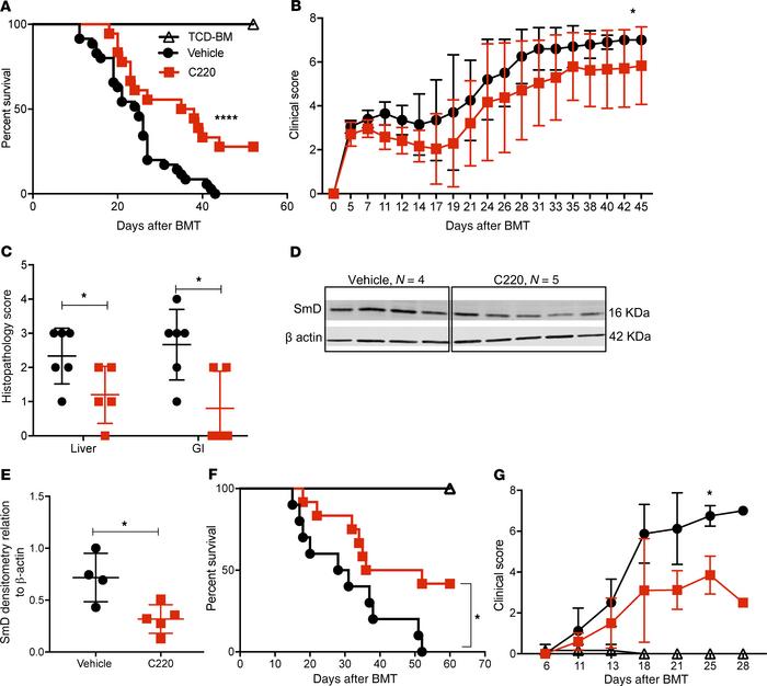 Inhibition of PRMT5 improves survival in mouse models of aGVHD.
Lethally...