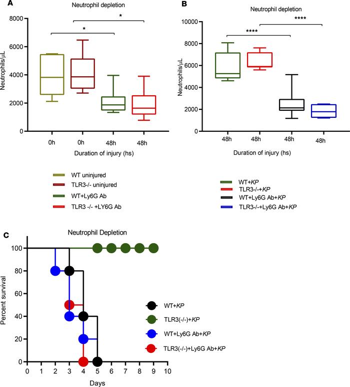 Neutrophils play a critical role in bacterial clearance, phagocytosis, a...