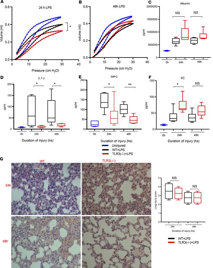 WT mice show increased inflammation following LPS administration.
PV cur...
