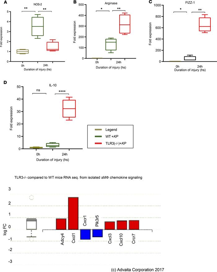 The deletion of TLR3 increased chemokine production from alveolar macrop...