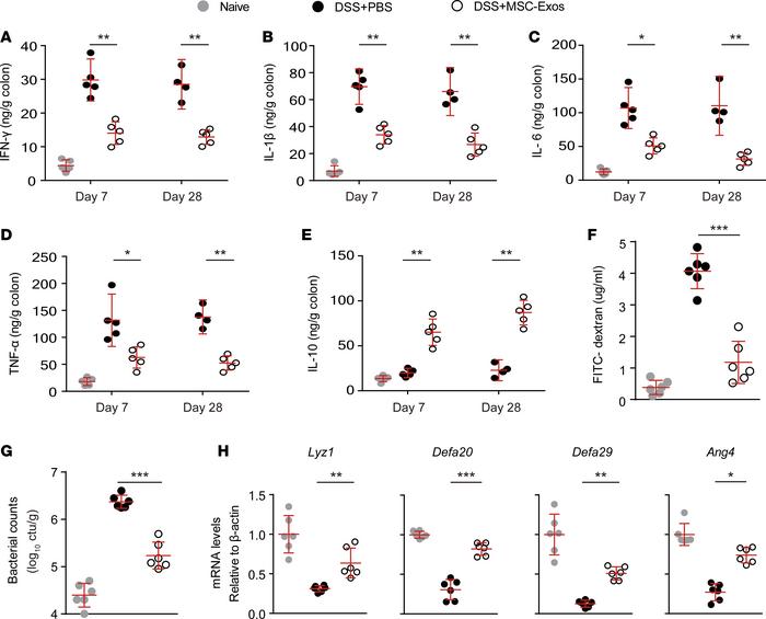 MSC-Exos reduce mucosal inflammatory responses and contribute to the mai...