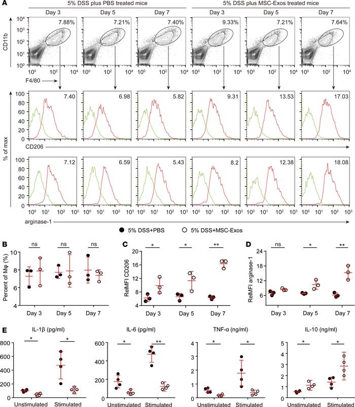 MSC-Exos reduce mucosal inflammation by polarizing M2b macrophages.
(A) ...