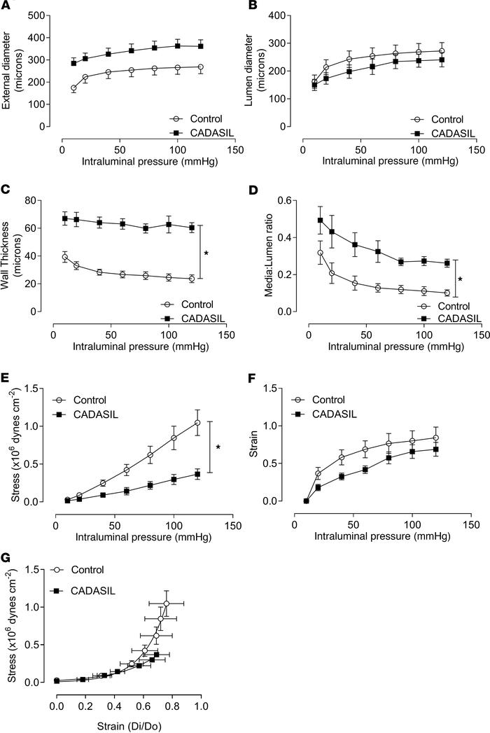 Vascular remodeling and altered mechanical properties in CADASIL arterie...