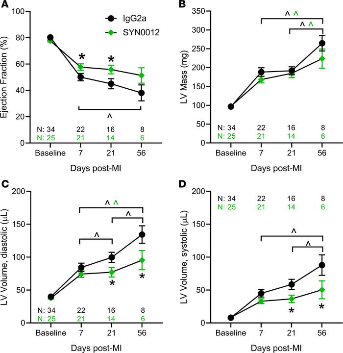 CDH11 blockade improves functional outcomes after MI.
Echocardiographic ...